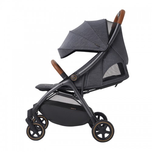 small stroller for travel HPZ PET ROVER LITE Premium Black Travel Stroller for Small/Medium Dog HPZ  Pet Rover